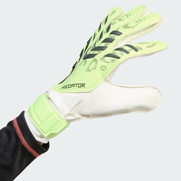 Gants de sport 'Predator' ADIDAS PERFORMANCE en vert