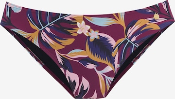 LASCANA Bikini Bottoms in Purple: front