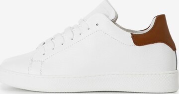 Sneaker bassa di CAFè NOIR in bianco: frontale