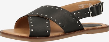 Kickers Sandals in Black: front