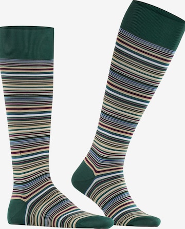 FALKE Knee High Socks 'Microblock' in Green: front