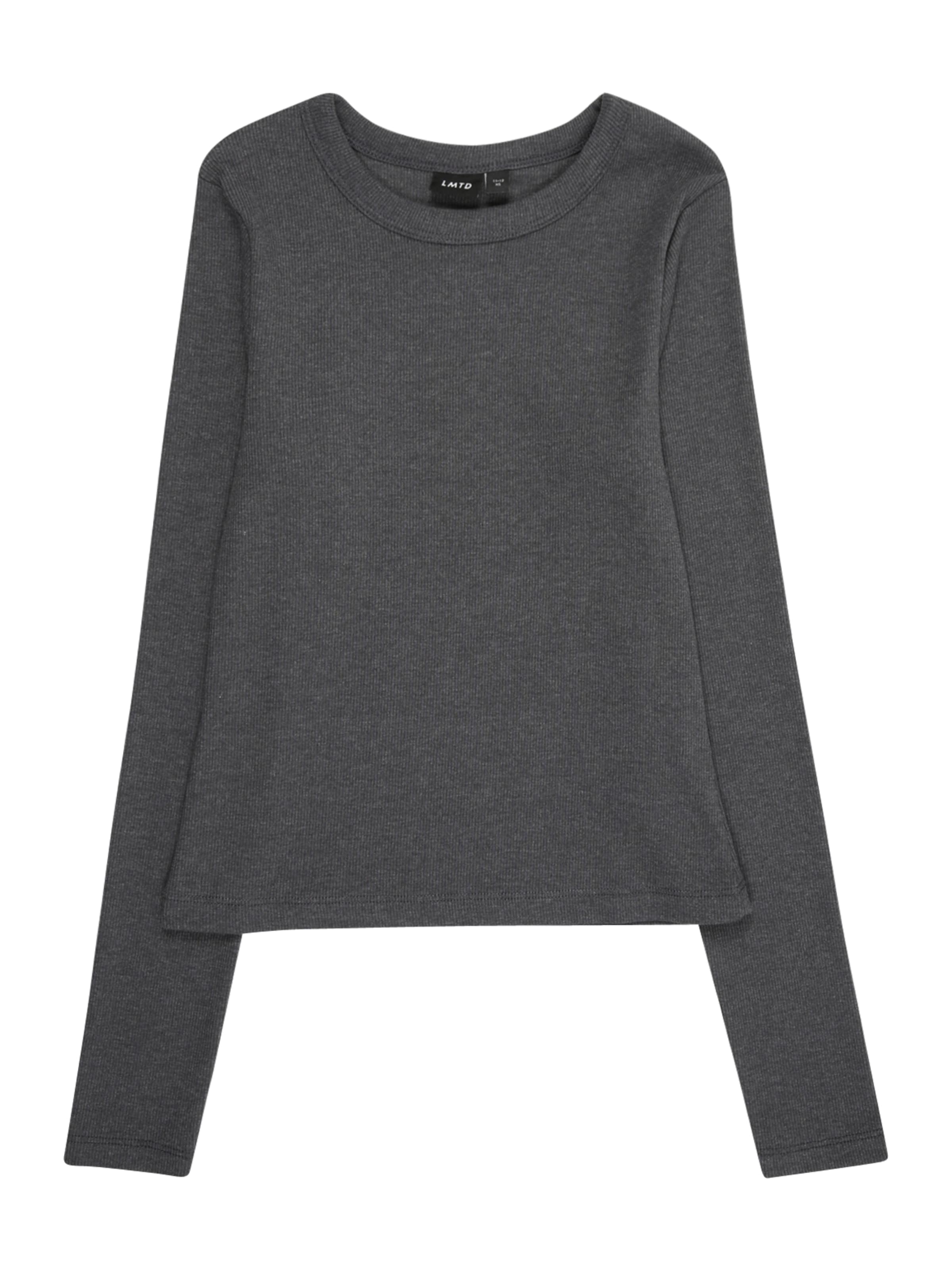 T-Shirt 'NLFHINAJA' LMTD en gris : devant