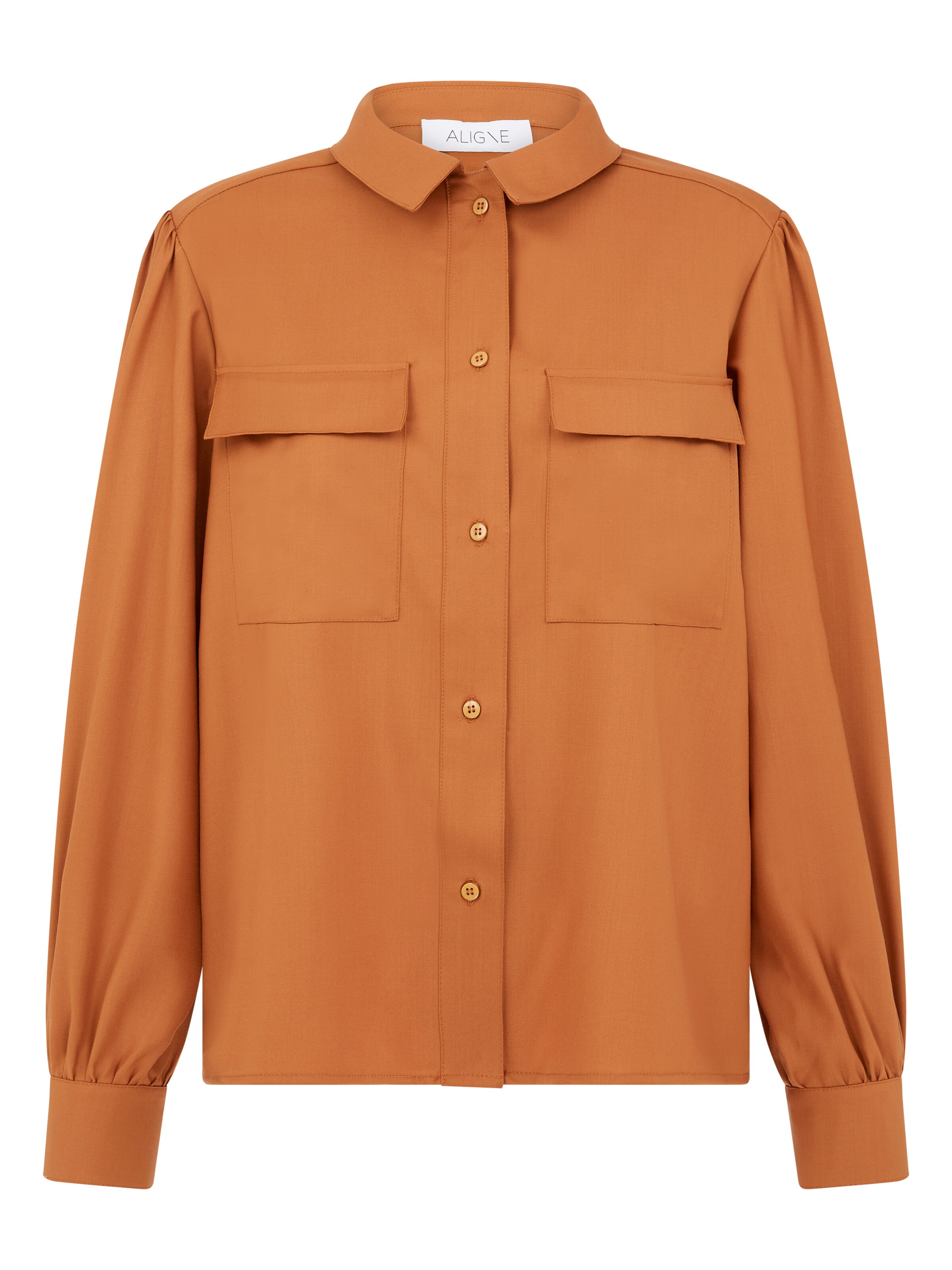 Aligne Bluse 'Ellis' in Braun: Vorderseite