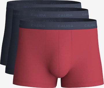 Boxers 'Cotton Special' CALIDA en violet : devant