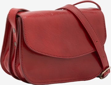 Viola Castellani Crossbody Bag in Red: front