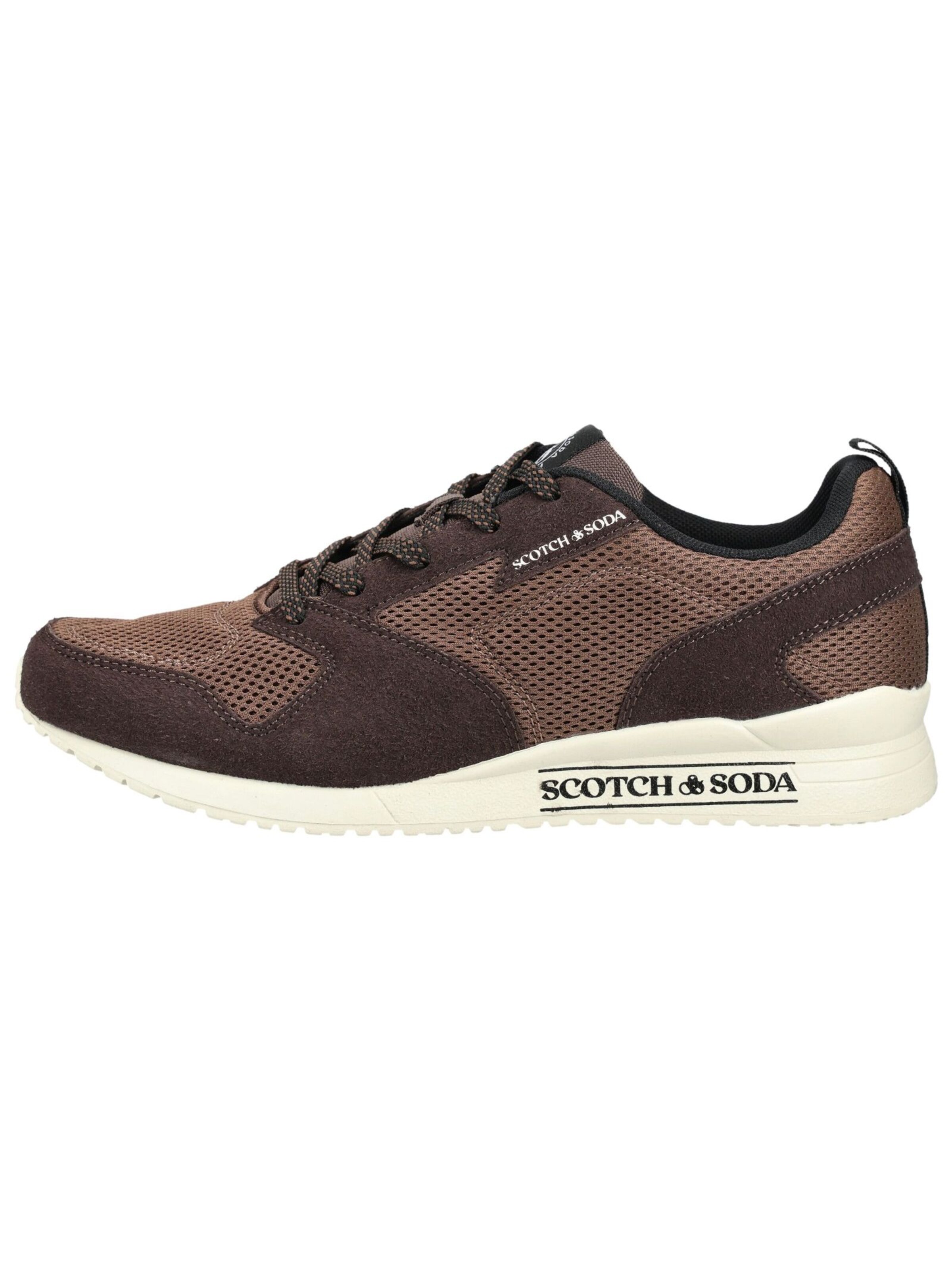 Sneaker bassa di SCOTCH & SODA in marrone