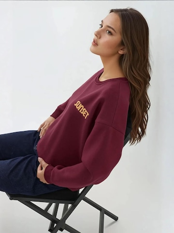 Hiccup - Sweatshirt em vermelho