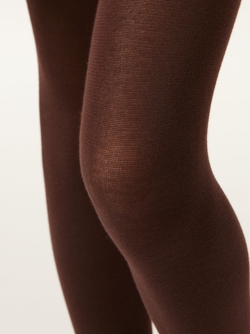 CALZEDONIA Tights in Brown