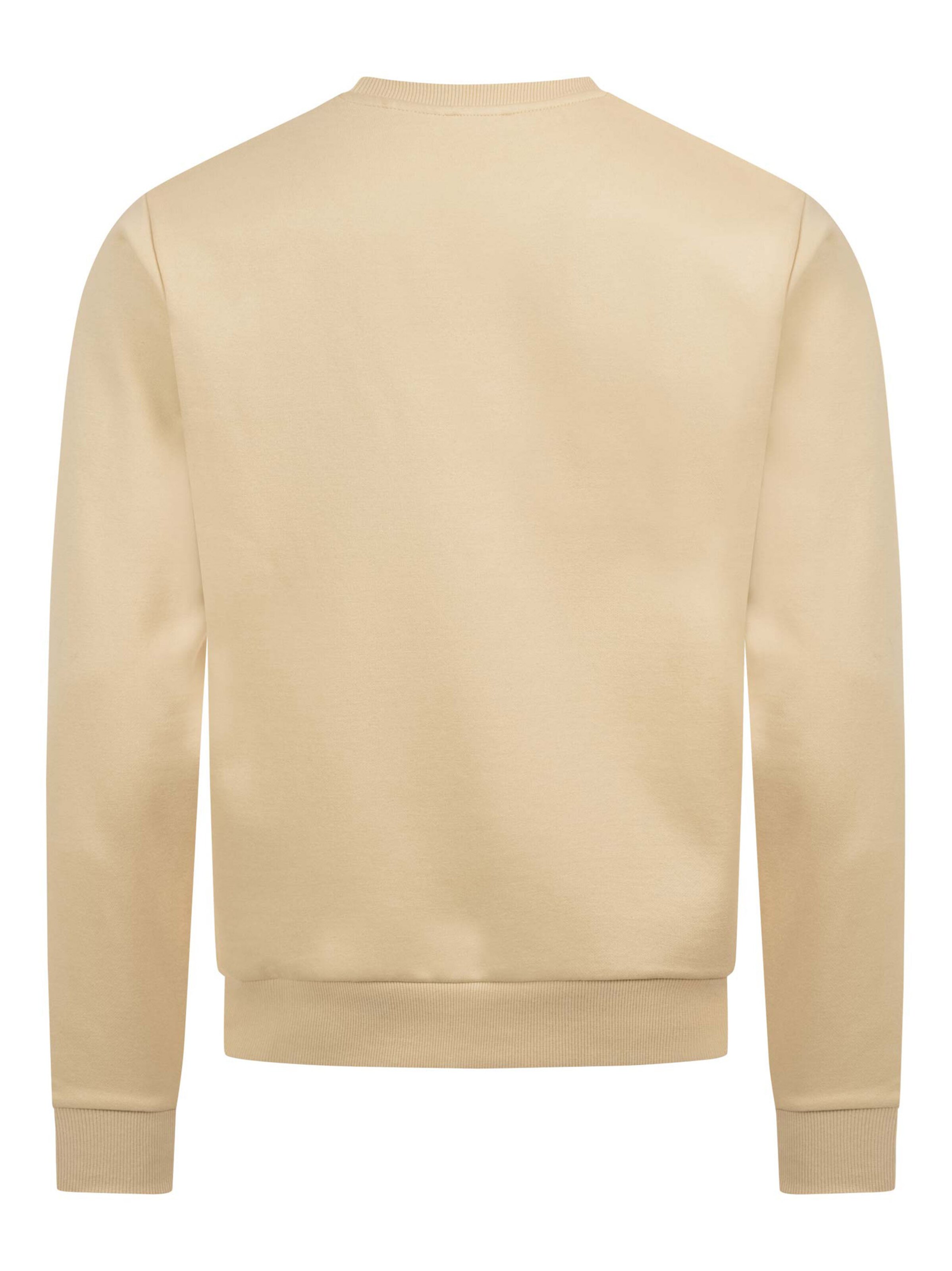 U.S. POLO ASSN. Sweatshirt in Beige