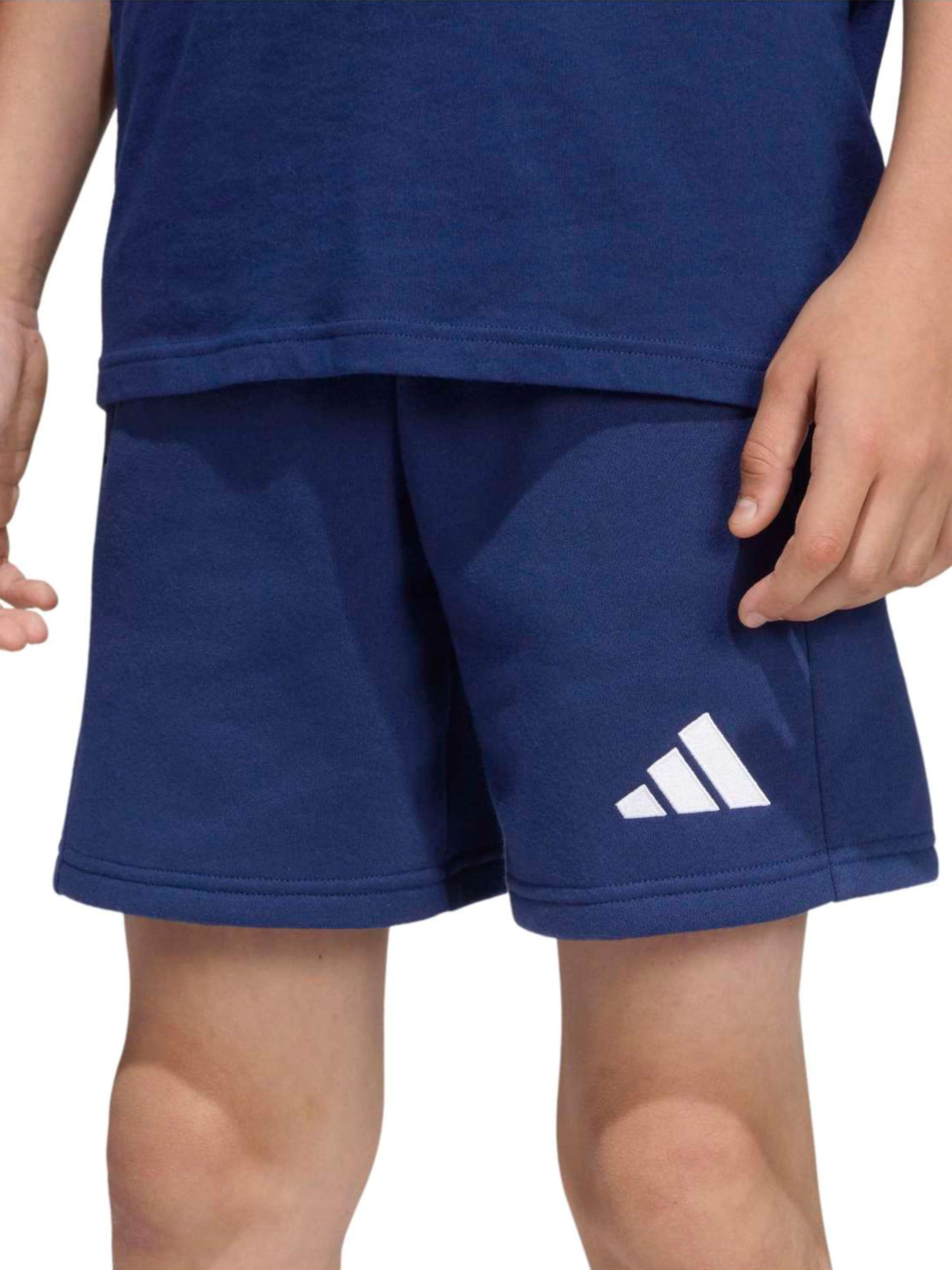 ADIDAS PERFORMANCE regular Παντελόνι φόρμας 'ENT26' σε μπλε