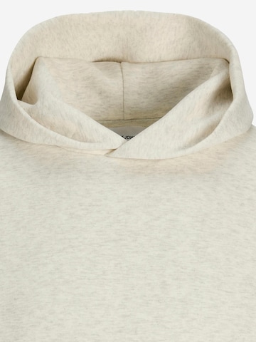 Felpa 'JJEBarron' di JACK & JONES in bianco