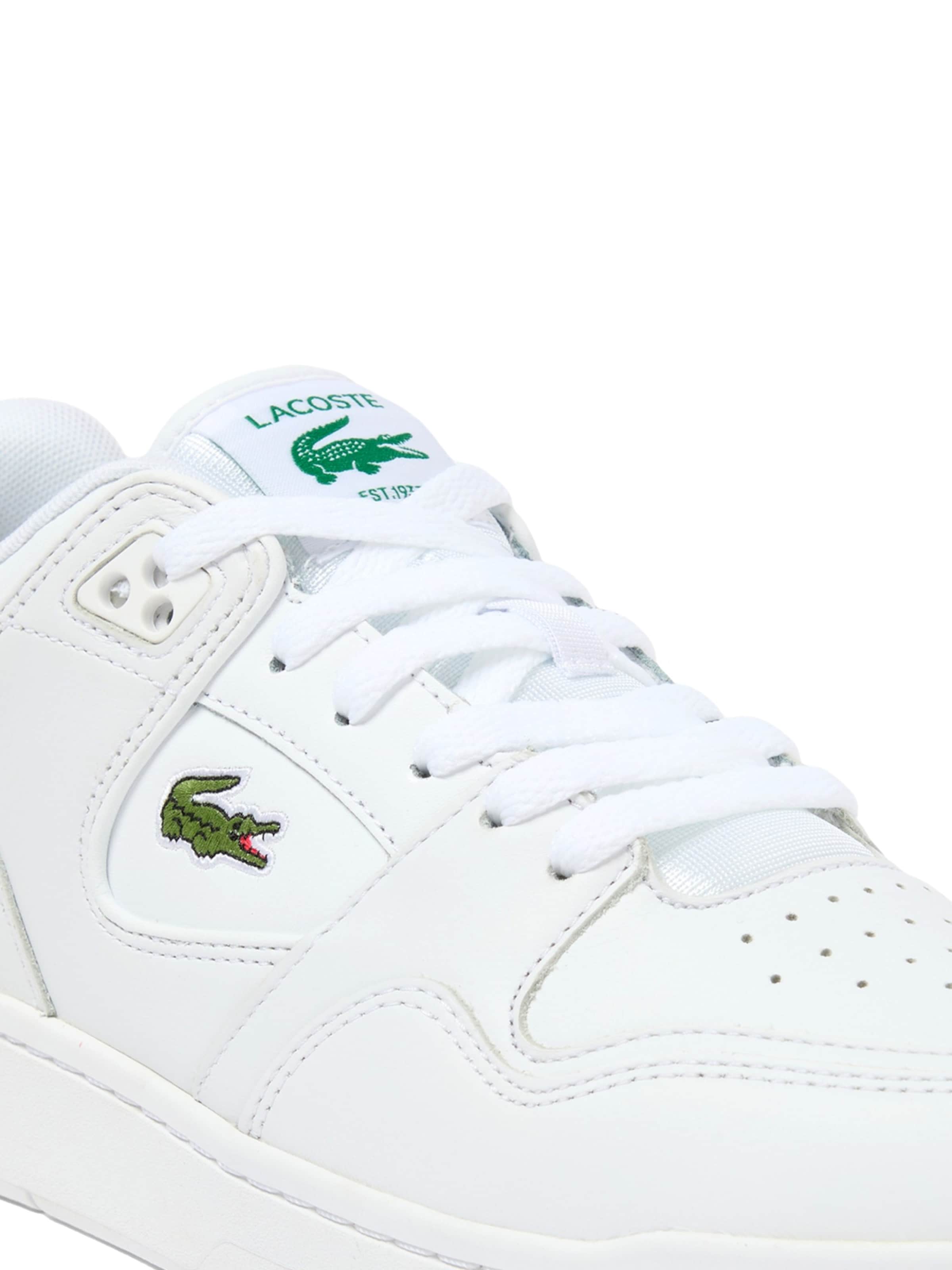 Baskets basses 'Courtcage Set' LACOSTE en blanc