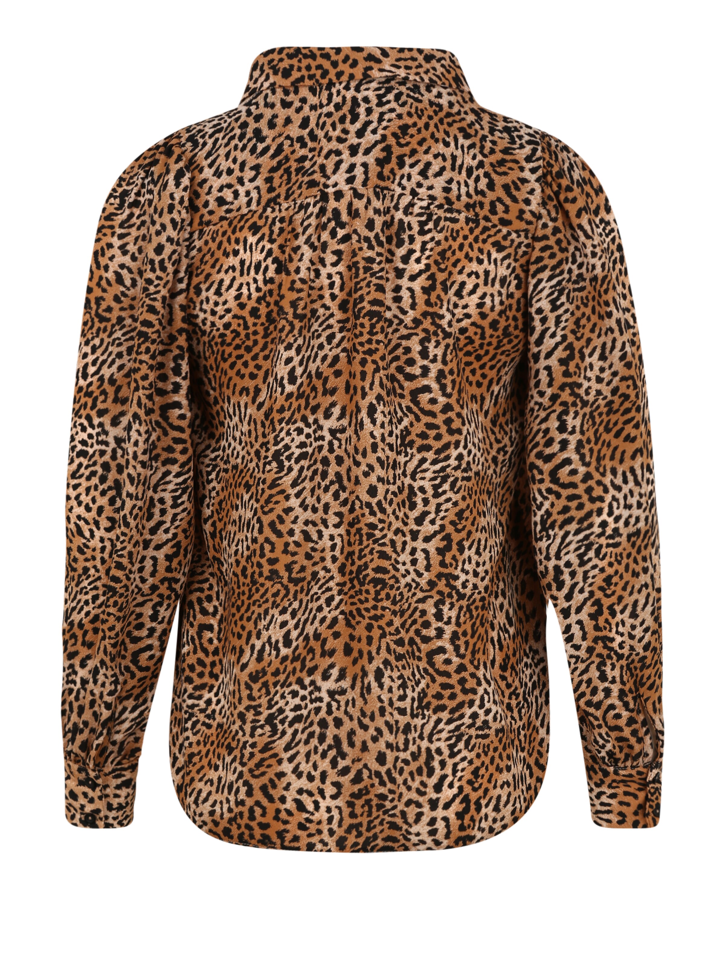 Dorothy Perkins Bluse in Braun