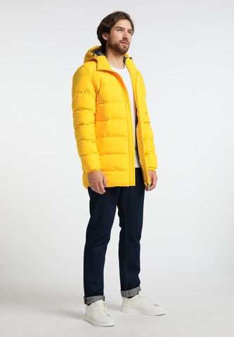 Veste d’hiver ICEBOUND en jaune