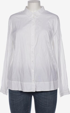 Basler Blouse & Tunic in XXXL in White: front