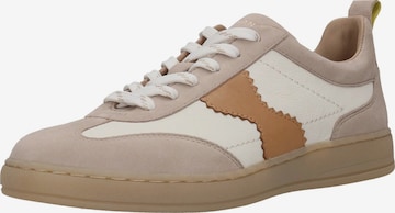 SALAMANDER Matalavartiset tennarit värissä beige: etupuoli