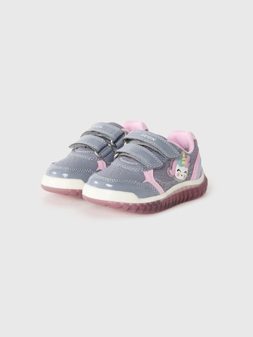 Baskets GEOX en gris