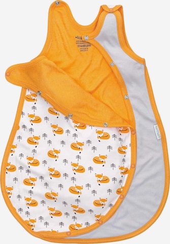 Baby Sweets Slaapzak 'Little Fox' in Gemengde kleuren