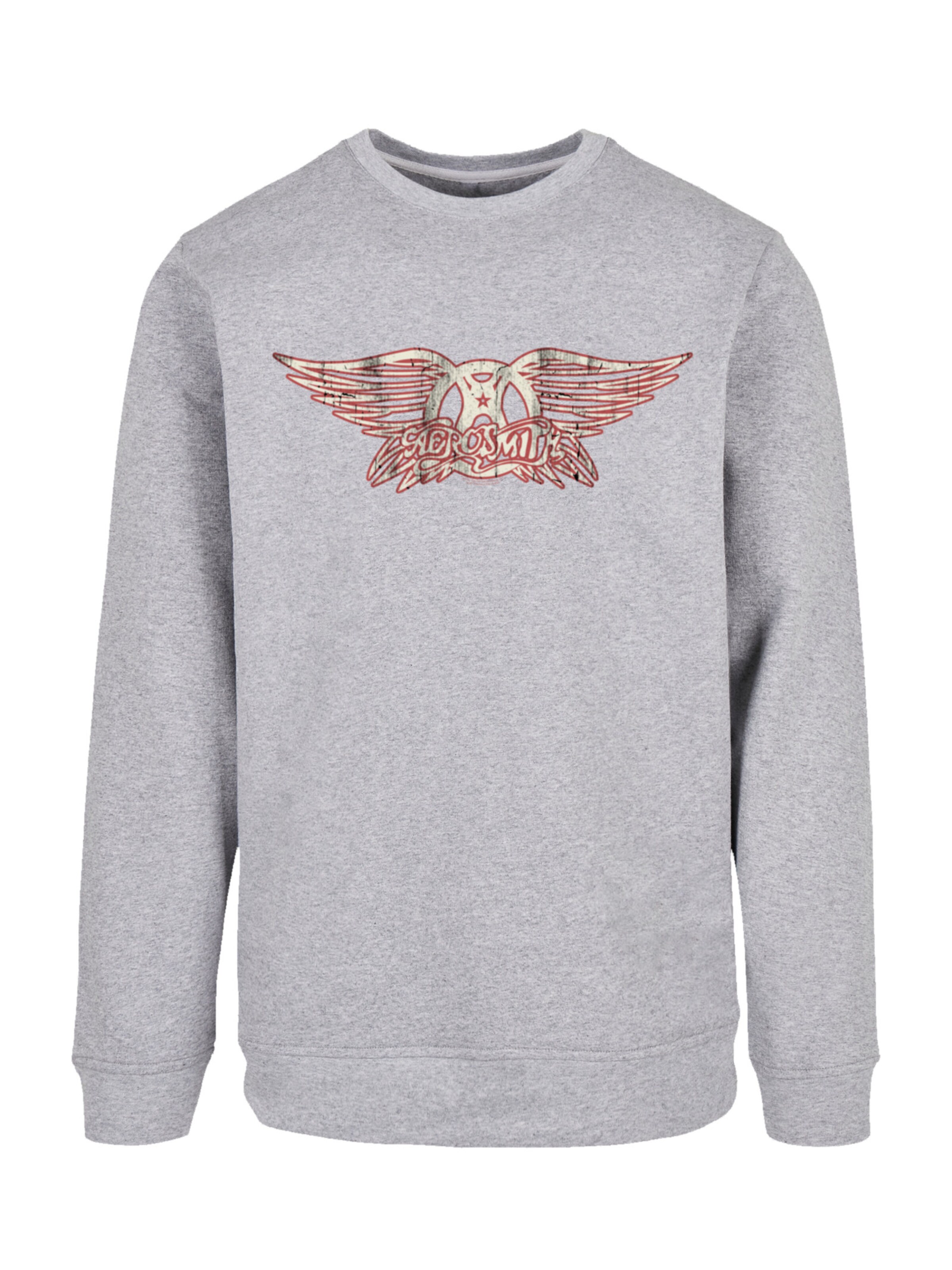 F4NT4STIC Sweatshirt 'Aerosmith' in Grijs: voorkant