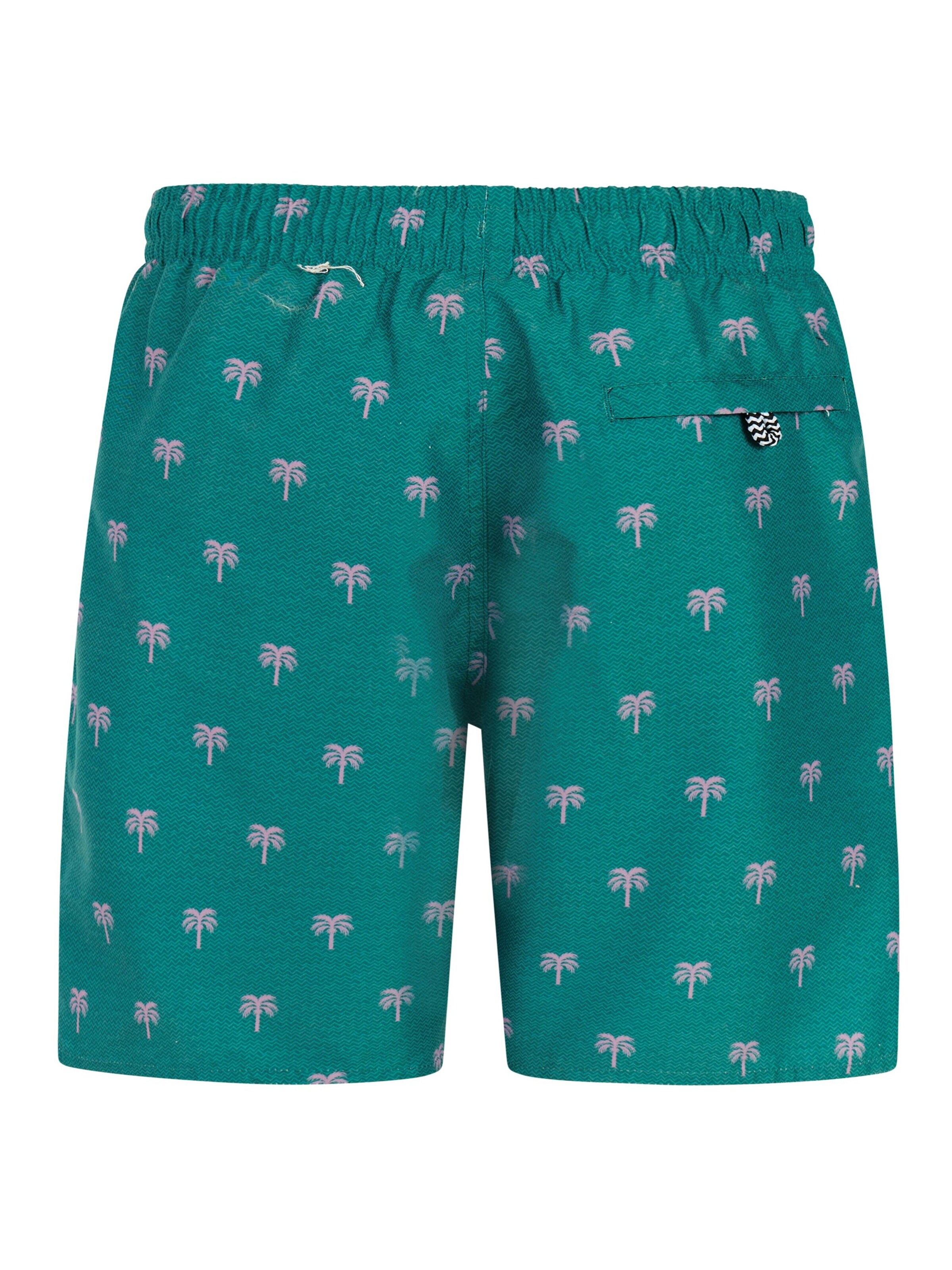 PROTEST Board Shorts 'PRTCalvin JR' in Green