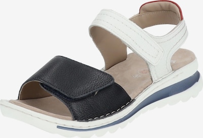 ARA Sandale in blau / weiß, Produktansicht