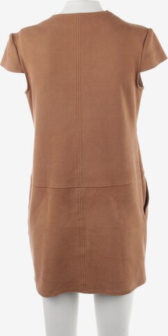 Elisabetta Franchi Dress in S in Brown