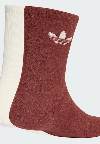 ADIDAS ORIGINALS Socks in Brown
