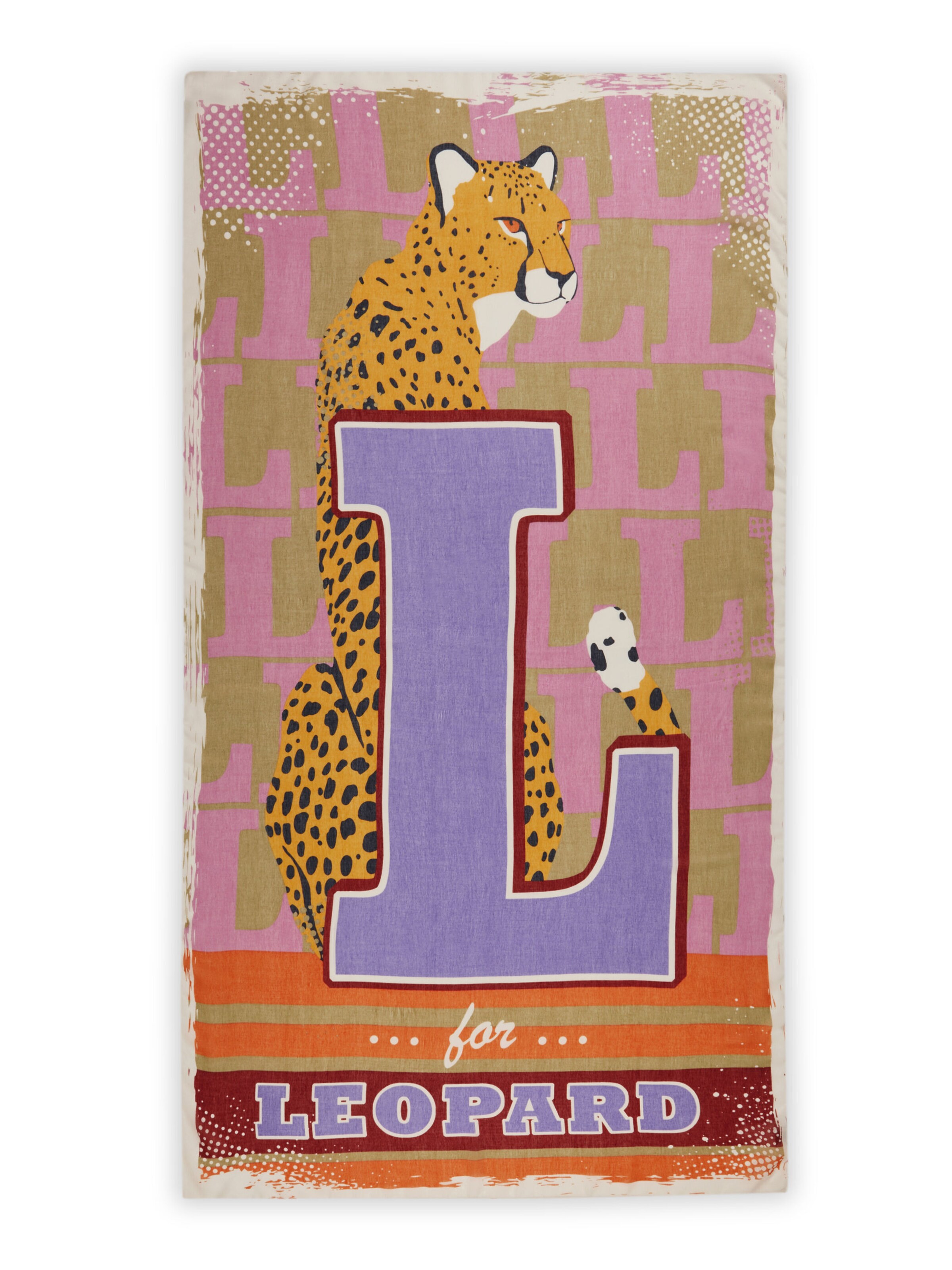 Écharpe CODELLO en mélange de couleurs