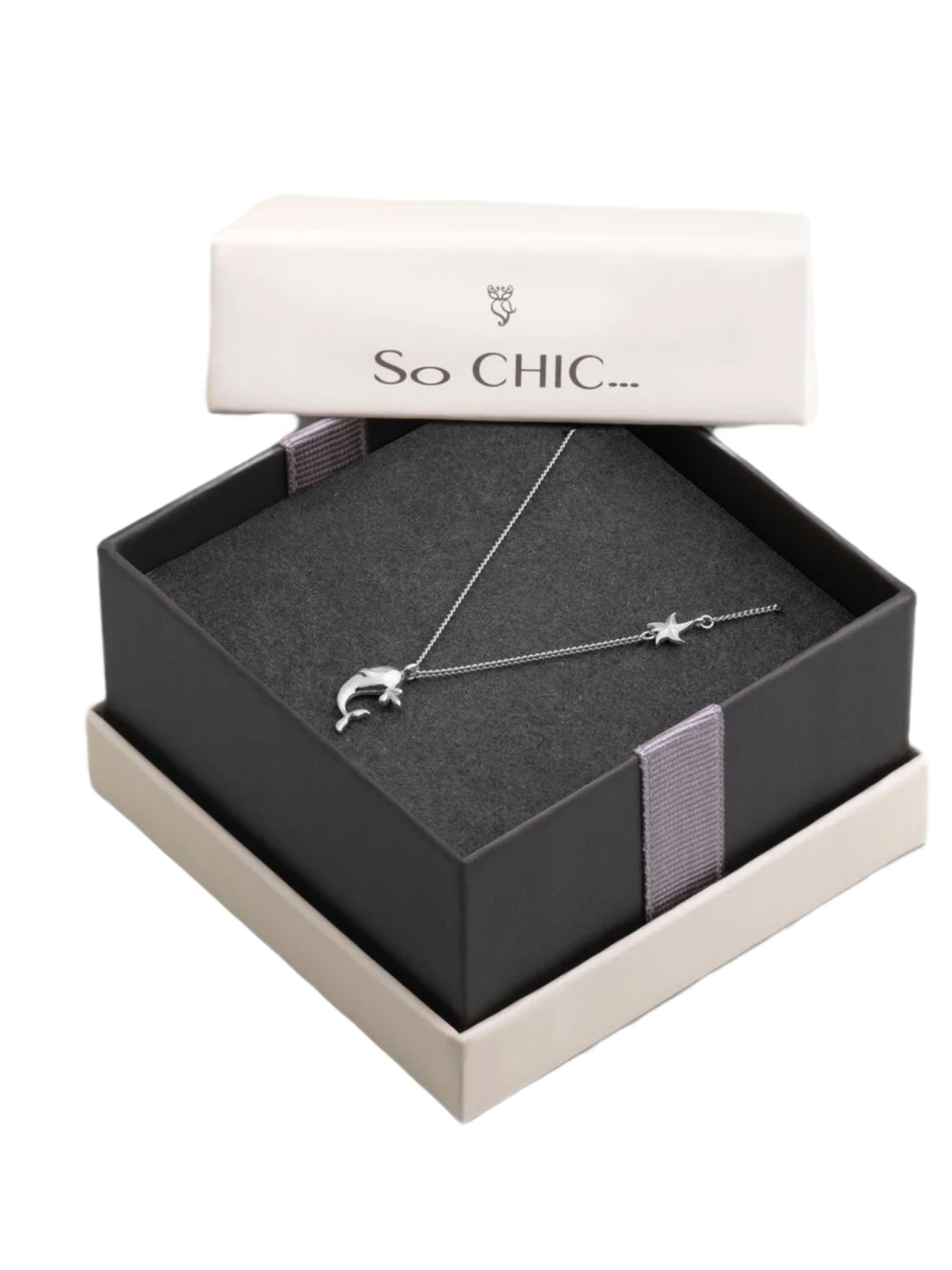 So Chic Ketting in Zilver