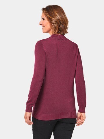 Goldner Pullover in Pink