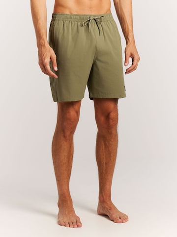 PROTEST Board Shorts 'PRTBaky' in Green