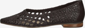 Venturini Milano Ballet Flats in Brown