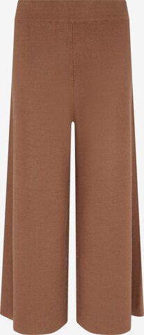 Loosefit Pantalon 'Caius' Aligne en marron : devant