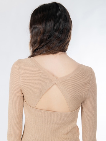 auksinė Influencer Megztinis