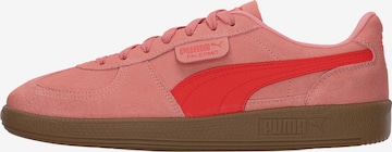 PUMA - Sapatilhas baixas 'Palermo' em rosa: frente