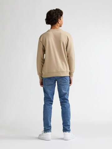 Petrol Industries Sweatshirt 'Coyote' in Brown