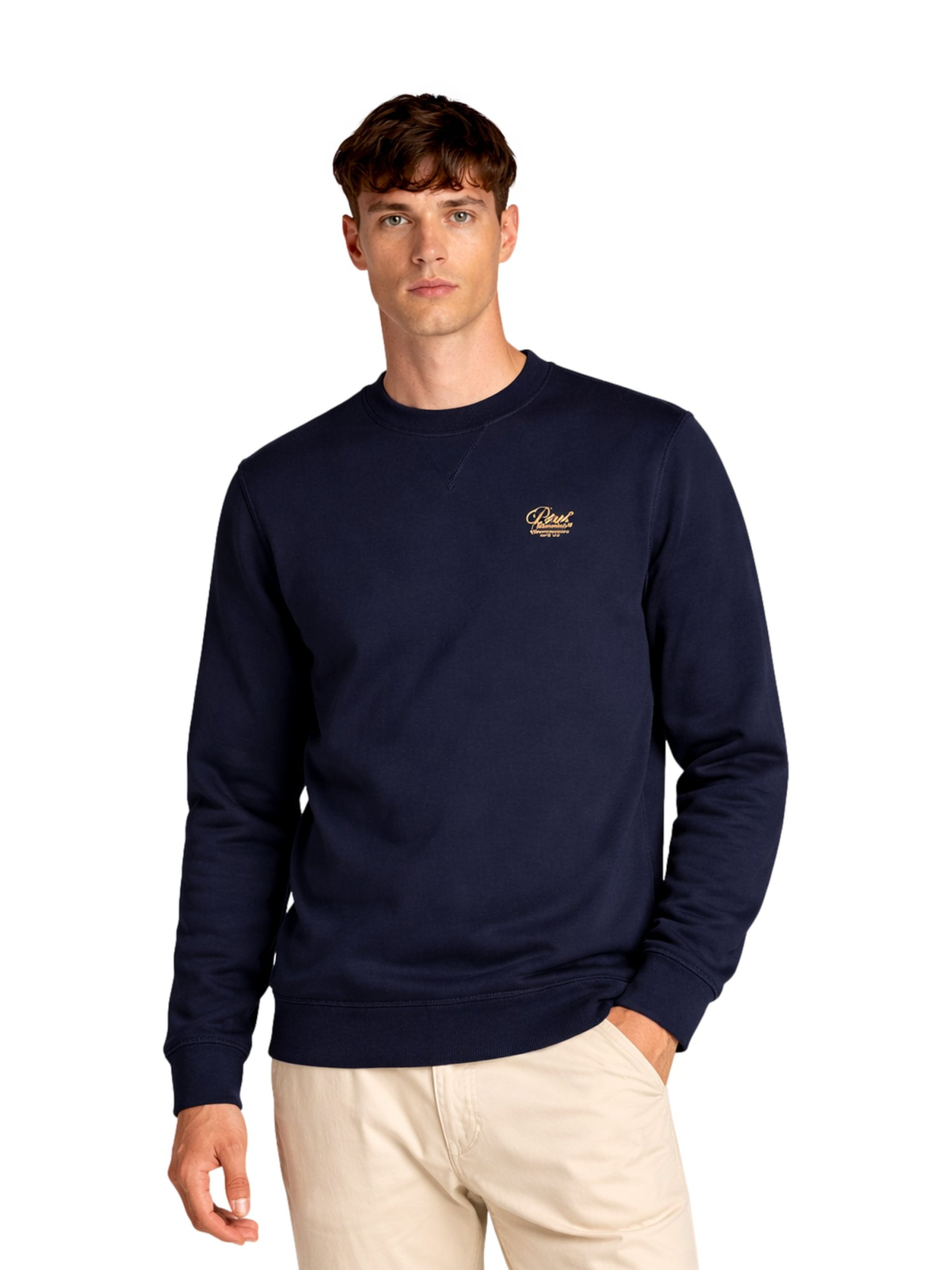 Petrol Industries Sweatshirt in Blau: Vorderseite