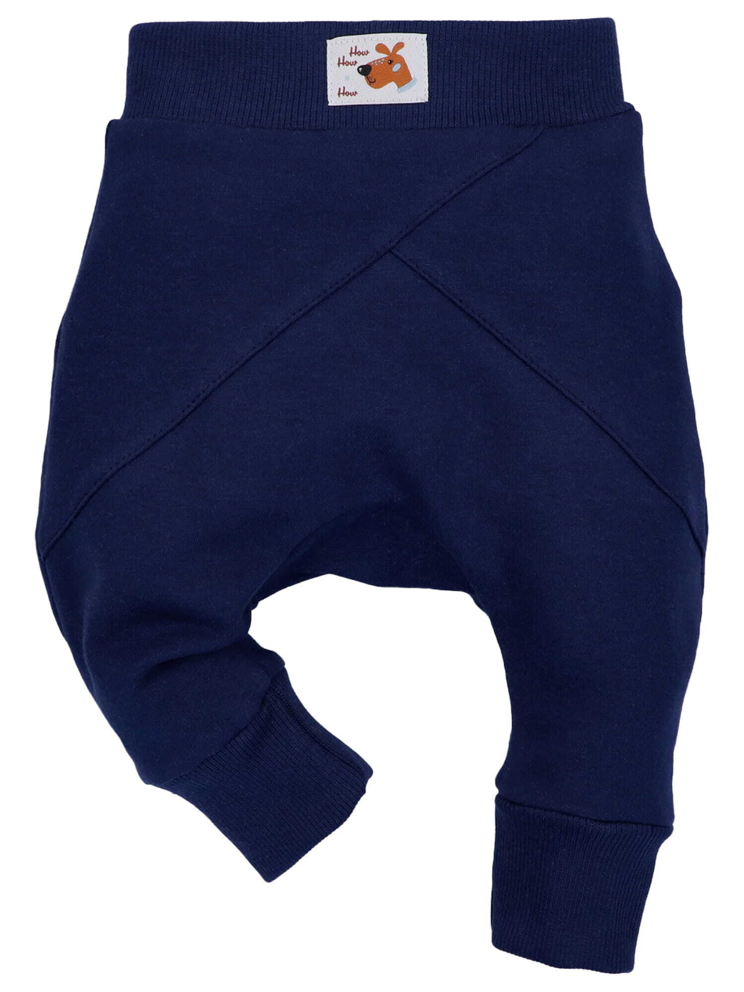 Regular Pantalon 'Hund' NINI en bleu : devant