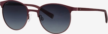 Humphrey's eyewear Sunglasses in Purple: front