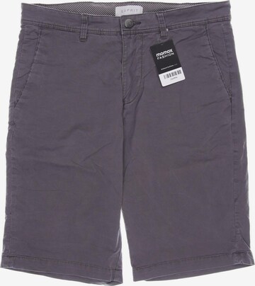 ESPRIT Shorts in 30 in Grey: front