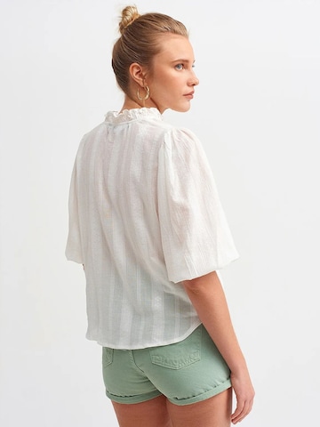 Dilvin - Blusa em branco