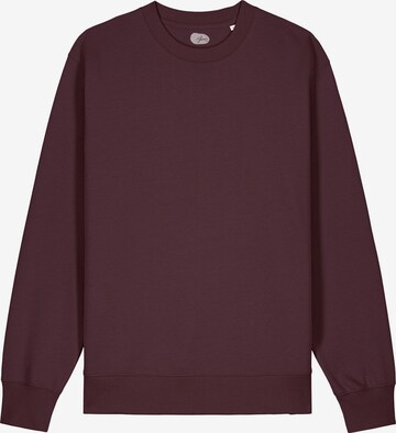 ARMEDANGELS Sweatshirt 'Raiiner' in Brown: front