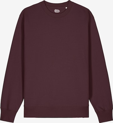 ARMEDANGELS Sweatshirt 'Raiiner' in Brown: front