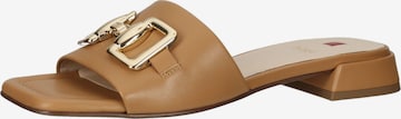 Högl Mules 'Florence' in Brown: front