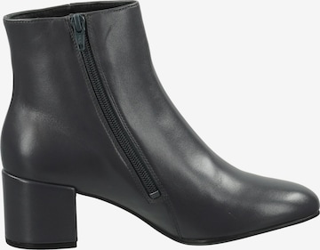 Högl Ankle Boots in Grey