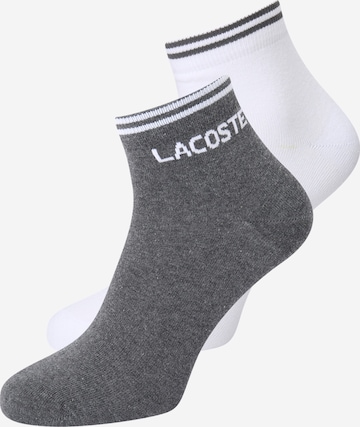 LACOSTE Socks in Grey: front