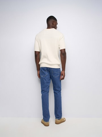 Salsa Jeans Regular Jeans in Blauw