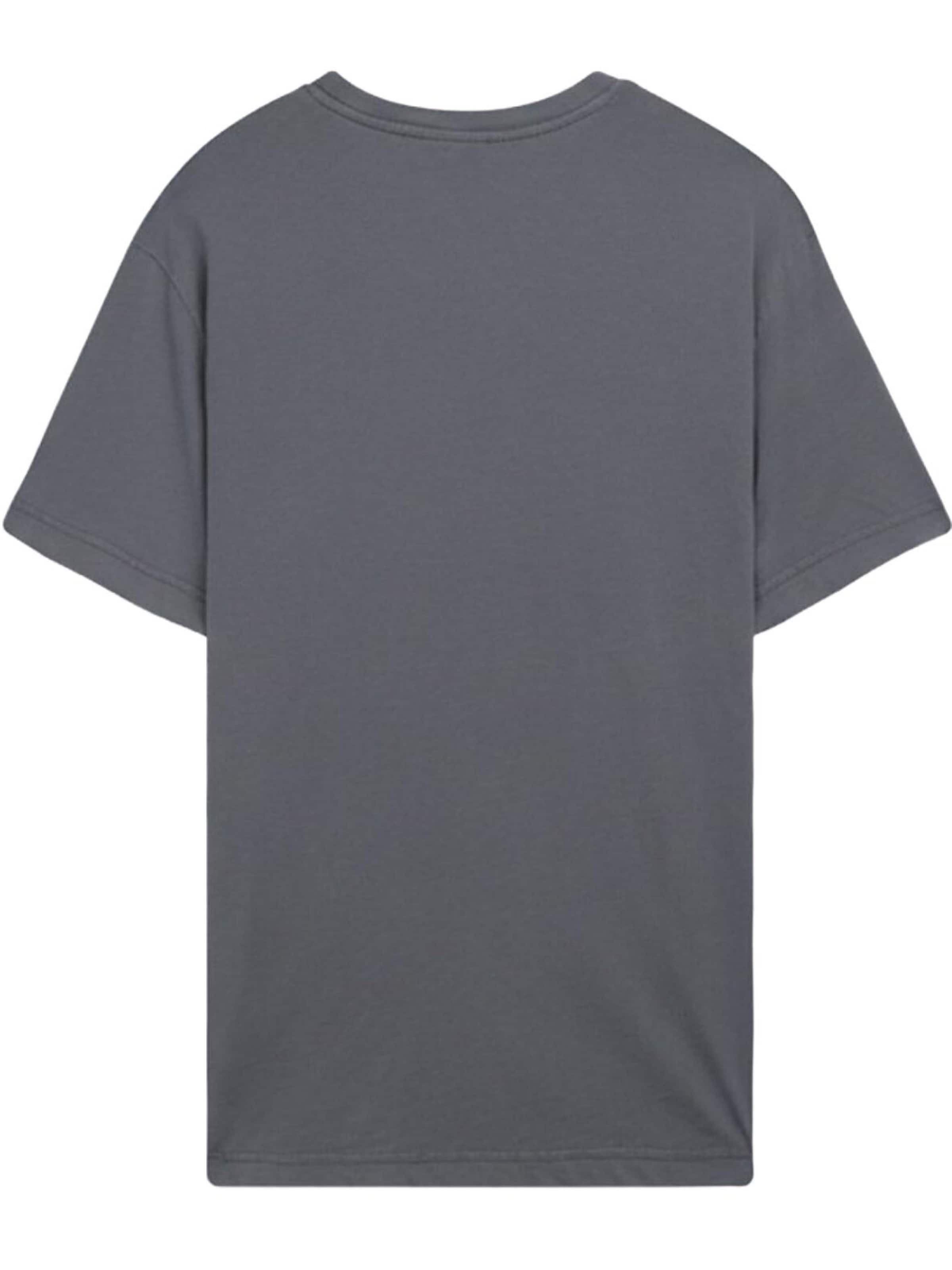 Maglietta 'LTB Jeans Herren-T-Shirt mit verwaschenem Rundhalsausschnitt' di LTB Jeans in grigio