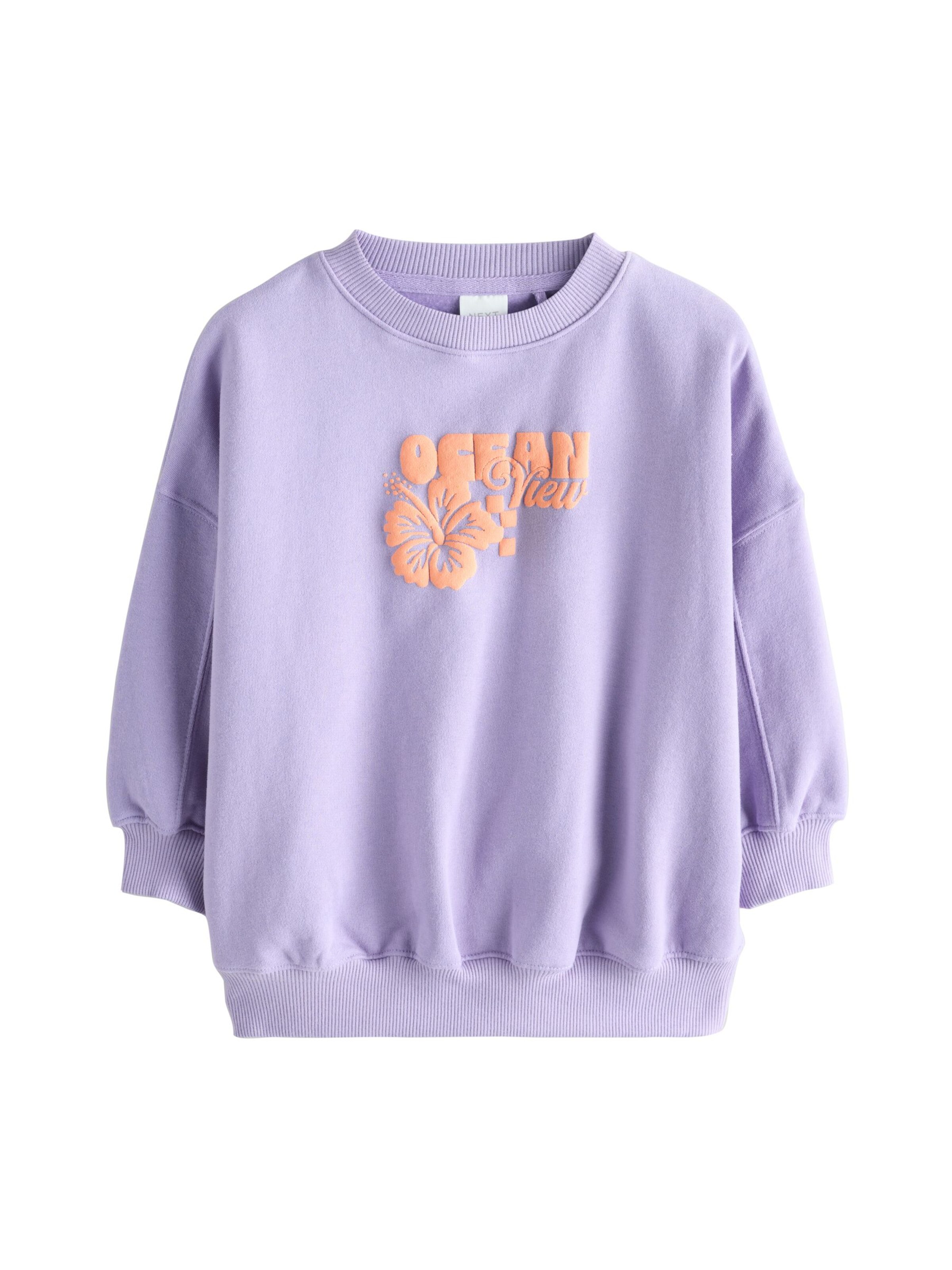 Next Свитшот в Лиловый: спереди