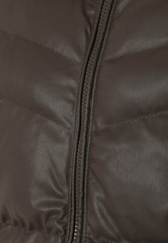 Jimmy Sanders Zimska jakna | rjava barva
